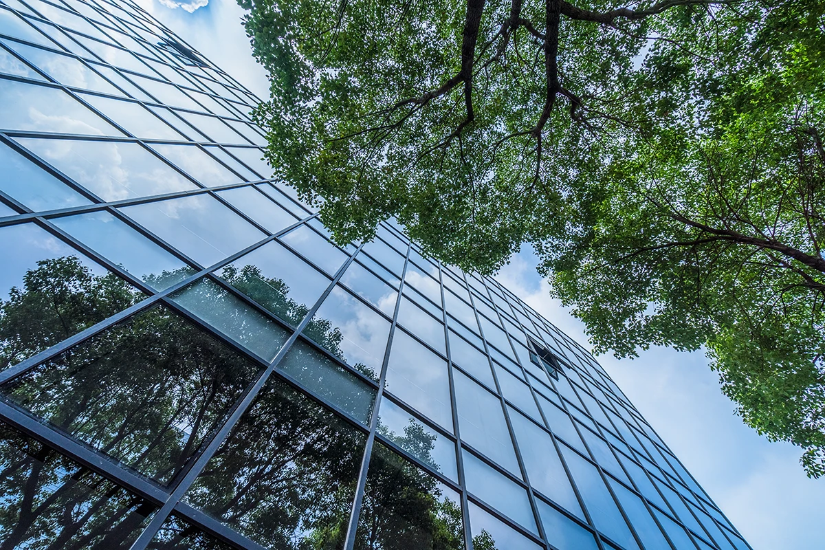 Modern glass building reflecting trees with green branches overhead.